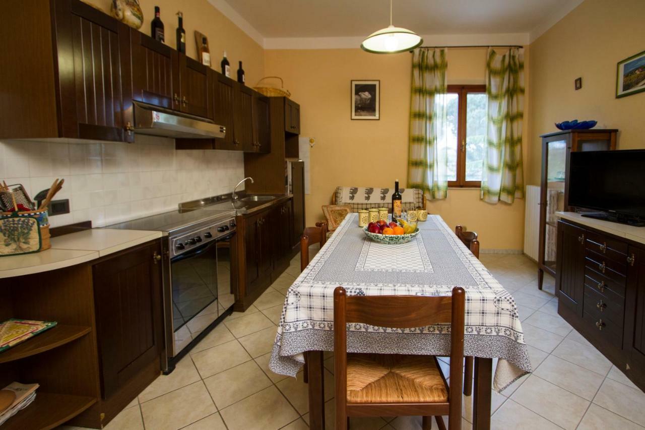 Apartament Casa Elena Cortona Zewnętrze zdjęcie